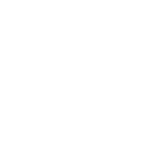 scooter1
