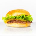 Plateforme 500x500 beef sans logo
